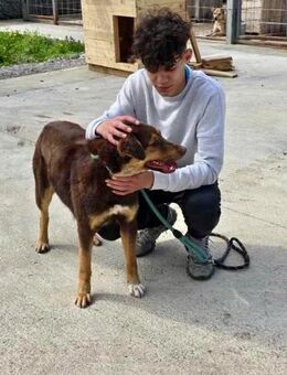 Aufgeschlossene aufmerksame NORA ♥️🐾 - München