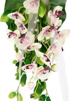 Kunstblume Orchidee, I.GE.A., Höhe 60 cm, Zum Hängen oder Tischdeko Mittelstücke Wanddeko