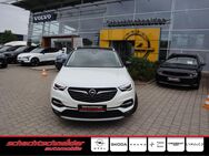 Opel Grandland X, 1.6 Hybrid Ultimate, Jahr 2020 - Potsdam