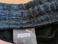 Sporthose von Puma - Bad Neustadt (Saale)