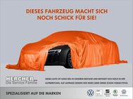 VW Golf, 1.5 TSI VIII Lim Edition 50, Jahr 2024 - Riesa