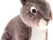 Heunec® Kuscheltier Streichelzoo, Hase