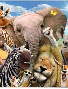 Reinders! Poster Lustige Wildtiere, (1 St)