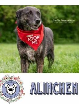 ALINCHEN * zauberhafte Dame - Duisburg