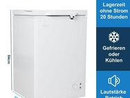 Borgar 110 Gefriertruhe 100 Liter - Frankfurt (Main) Fechenheim