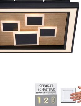 Paul Neuhaus LED Deckenleuchte ELIZA, LED fest integriert, Warmweiß