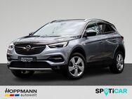 Opel Grandland X, Ultimate, Jahr 2020 - Siegen (Universitätsstadt)