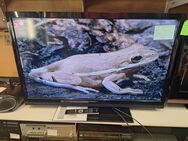 Grundig Led TV 40 Zoll - Kassel