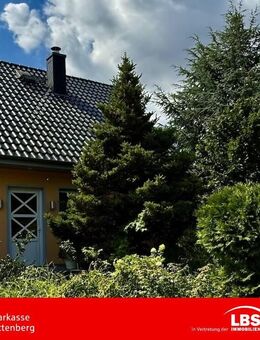 Ihr neues Zuhause im Grünen - Jessen (Elster)