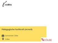 Pädagogische Fachkraft (m/w/d) - Cölbe