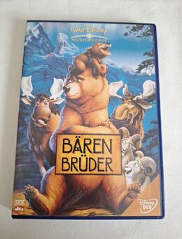 Bärenbrüder Trickfilm von Disney - Essen