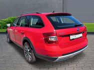 Skoda Octavia Combi Scout 4x4 2.0 TDI+Standheizung+el.Sitze - Marktredwitz