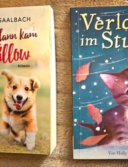 Und dann kam Mr. Willow + Verloren im Sturm - Langenselbold