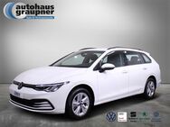 VW Golf Variant, 2.0 TDI Golf VIII Life, Jahr 2022 - Brandis