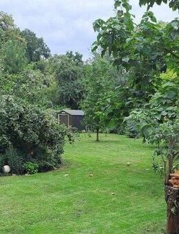 Erstbezug nach Sanierung : Kleines EFH auf 2500m² Grundstück - Könnern