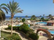 Ägypten Hurghada Anfang Juni - Dortmund