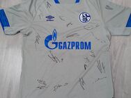 Schalke Trikot Auswärts 2018/19 original Unterschriften - Gelsenkirchen