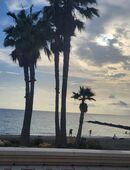 Fahrradfahren/spazieren in 50667