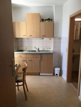 Möblierte1-Raum-Apart, kein Dauerwohnsitz, nur für Montag-Freitag, in Dresden-Friedrichstadt, als 2.Wohnsitz. - Dresden