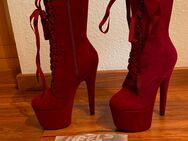 Hella Heels High Babydoll Dark Red 7 Inch mit Shoe Protectors, Gr. 37 - Kottmar