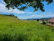 Baugrundstück mit Bergblick für großes Wohnhaus - Oberhausen (Landkreis Weilheim-Schongau)