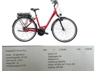 Neuwertiges Damen-City-E-Bike zu verkaufen - Bad Orb