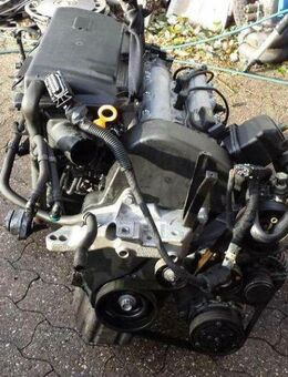 Golf 4 1,4L 4 tüerig Schlachtfest alle Teile Motor - Bocholt Zentrum