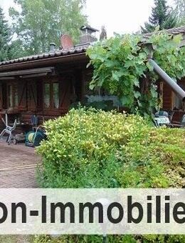 Idyllisch gelegenes Holzblockhaus, liebenswertes Ferienhaus in der Südheide für Naturliebhaber - Dedelstorf