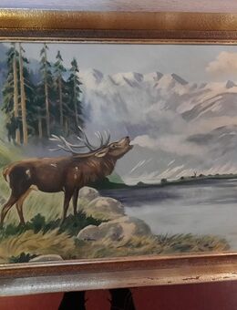 Bilder - Berlin Lichtenberg