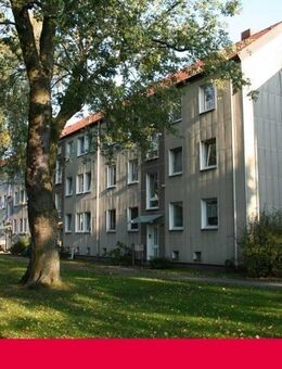 Günstige 3-Zimmer-Wohnung - "Freie Scholle eG" - Bielefeld