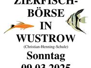 Zierfischbörse in Wustrow - Wustrow (Wendland)