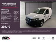 VW Caddy, 2.0 TDI Kasten Kühlwagenausbau, Jahr 2019 - Neckarsulm