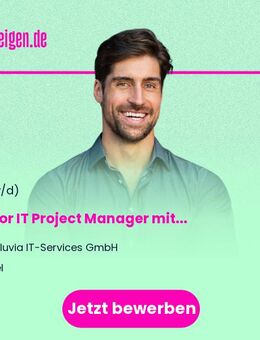 Senior IT Project Manager (m/w/d) mit Schwerpunkt SAP - Offenbach (Main)