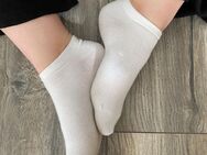 Getragene Socken & Bilder/Videos - Petershagen