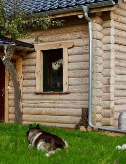 Grundstück mit Blockhaus und Baupotenzial: Für Aussteiger, Tierliebhaber & Individualisten - Neuhausen (Spree)