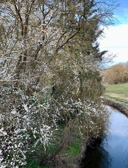 Doppelhaushälfte in Scharbeutz/Pönitz - Scharbeutz