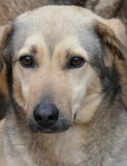 Wunderschöne Laura - Kallmünz