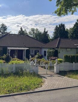 Bieterverfahren, Traumhafter Bungalow in ruhiger Lage, Schotten - Stadt - Schotten