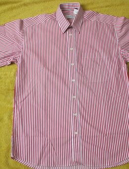 NEU * Edel * Buisness * Freizeit * Streifen * Kurzarm * Halbarm * HEMD "CLUB D'AMINGO * CLASSIC COLLECTION" Gr. 39- 40 * 48- 50/ M * weiß * kamin-  kardinal- rot * - Riedlingen