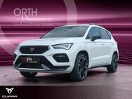 CUPRA Ateca, 1.5 TSI 150PSDSG, Jahr 2024 - Beselich