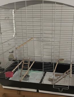 Großer Vogelkäfig mit Zubehör - Iserlohn