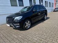 Mercedes-Benz ML 350 CDI BlueTec AMG Sport El Heckklap Xenon - Wuppertal