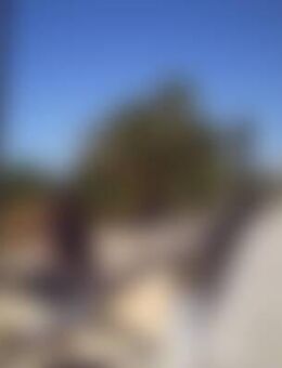 Chi*** - Ginsheim-Gustavsburg