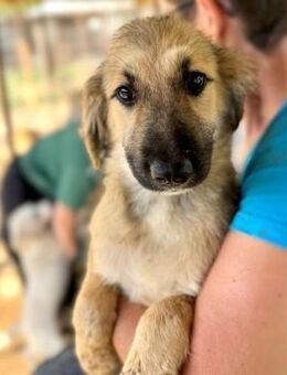 EKKO ~ ein tolles Kerlchen - Duisburg