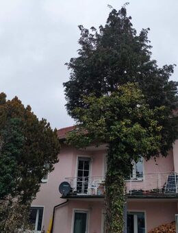 Attraktives Wohnungspaket bestehend aus Obergeschoss- und Dachgeschosswohnung in begehrter Wohnlage von Erlangen - Alterlangen - Erlangen