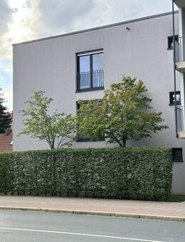 KOMPAKTES WOHNEN MIT KOMFORT - FRISCH RENOVIERTE UND ELEGANT MÖBLIERTE 1-ZIMMER-WOHNUNG - Erlangen
