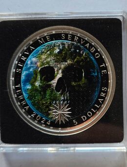 Silbermünze Skull Earth color - Münster (Hessen)