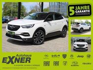 Opel Grandland X 1.6 Turbo Hybrid ULTIMATE Navi, LED - Oelsnitz