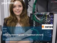 Senior System Engineer / Teamlead (m/w/d) - Freudenberg (Nordrhein-Westfalen)