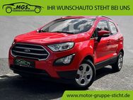 Ford EcoSport, 1.0 Cool & Connect EcoBoost, Jahr 2020 - Wunsiedel